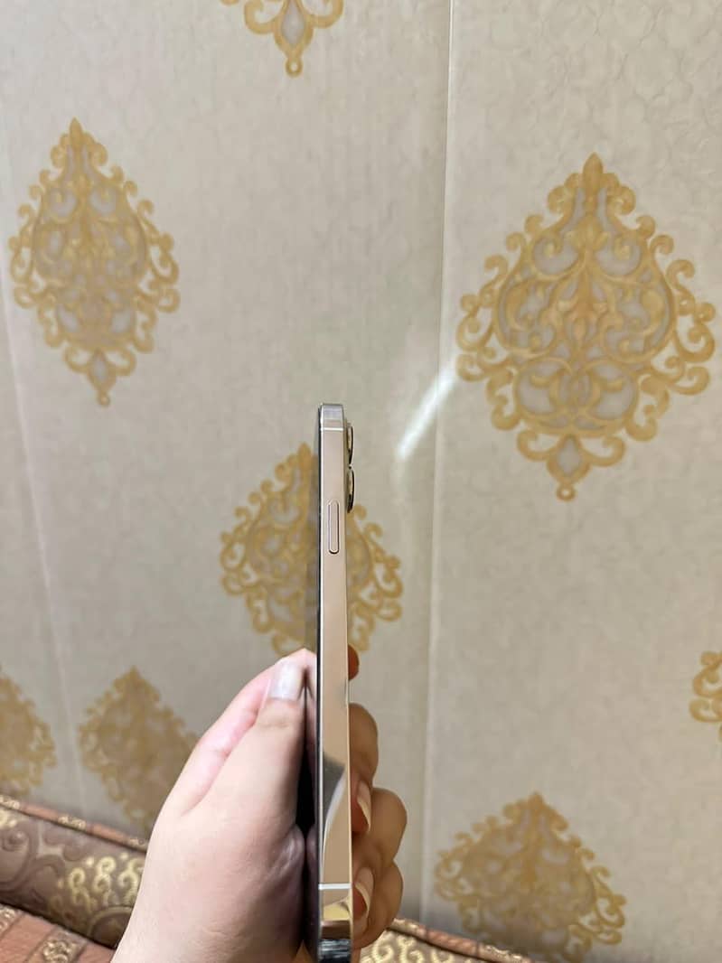 Apple iPhone 13 Pro Max 3