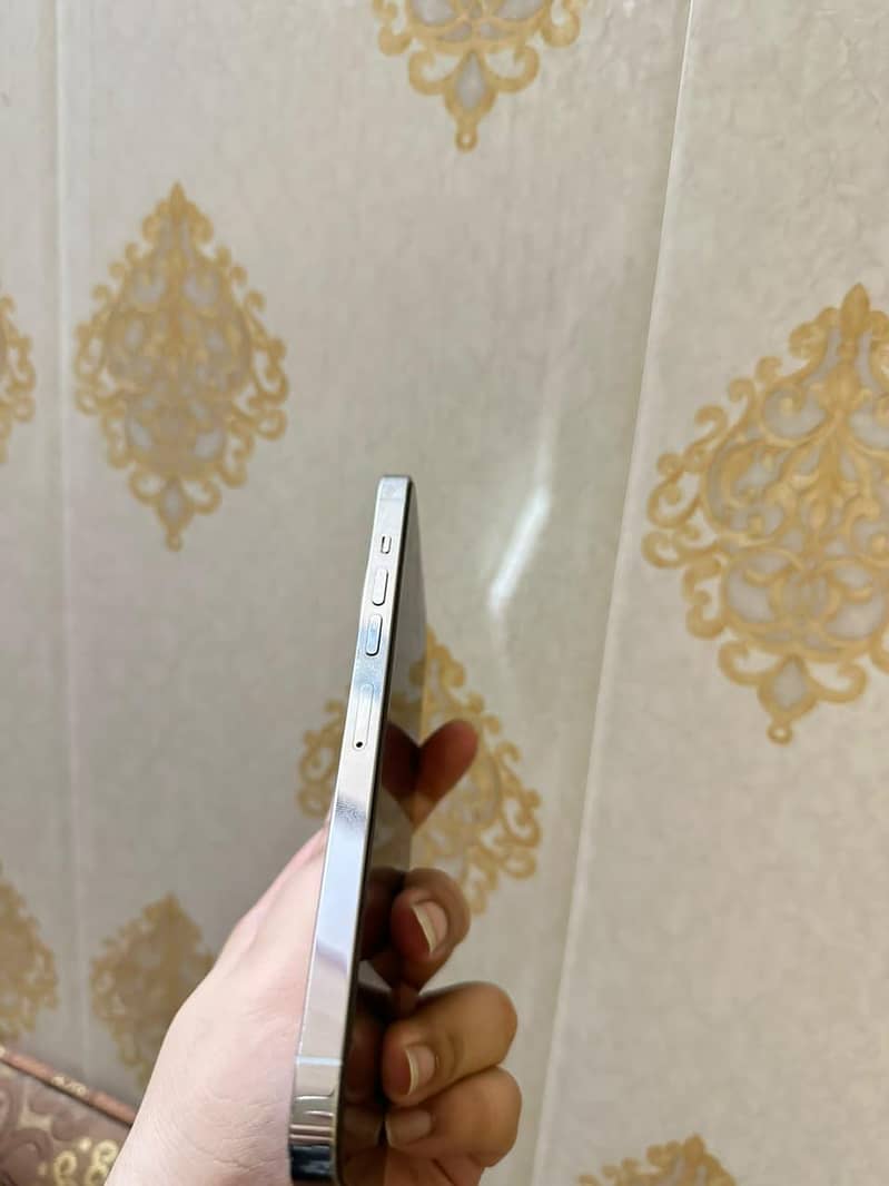Apple iPhone 13 Pro Max 5