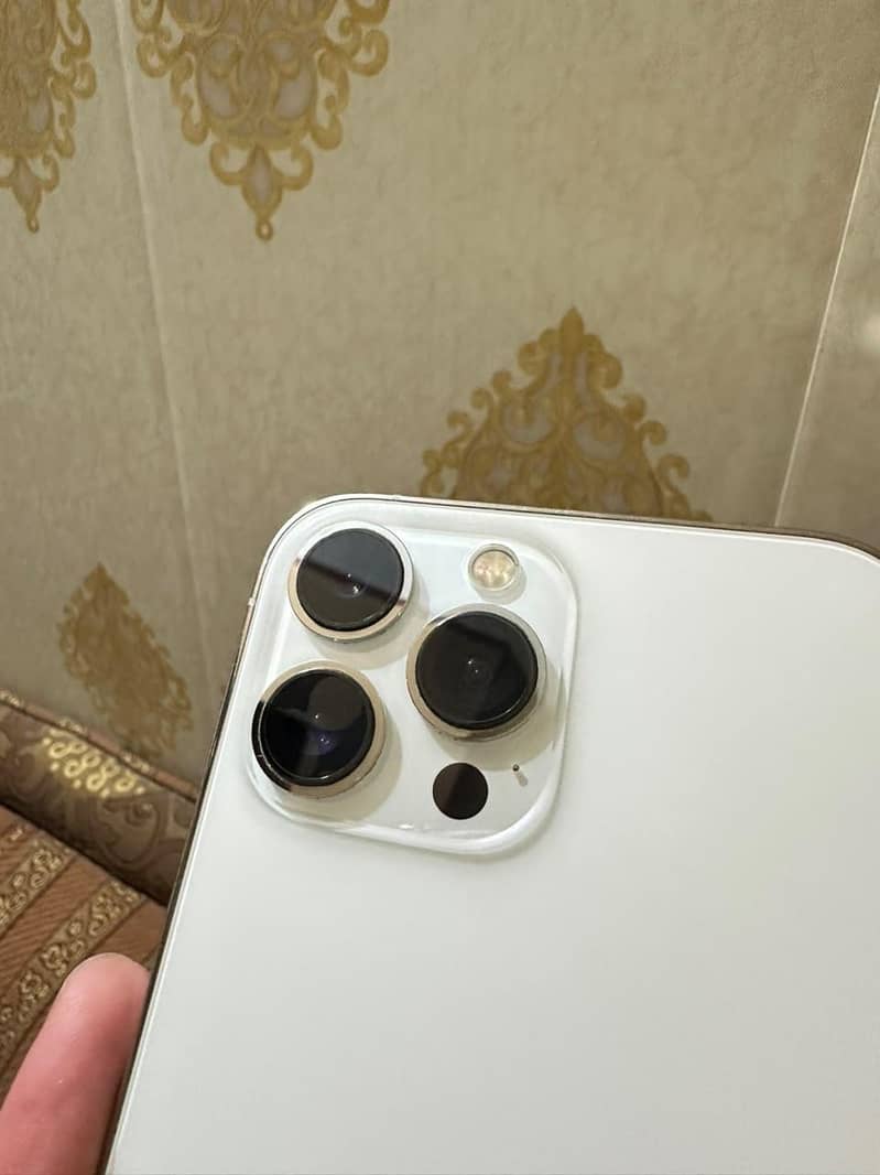 Apple iPhone 13 Pro Max 9