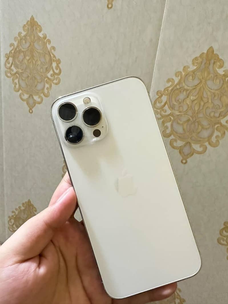 Apple iPhone 13 Pro Max 10