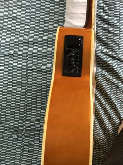 Semi Acoustic Guitar