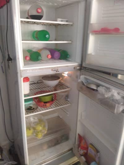 PEL Double Door Refrigerator | Stylish Design | Powerful Cooling