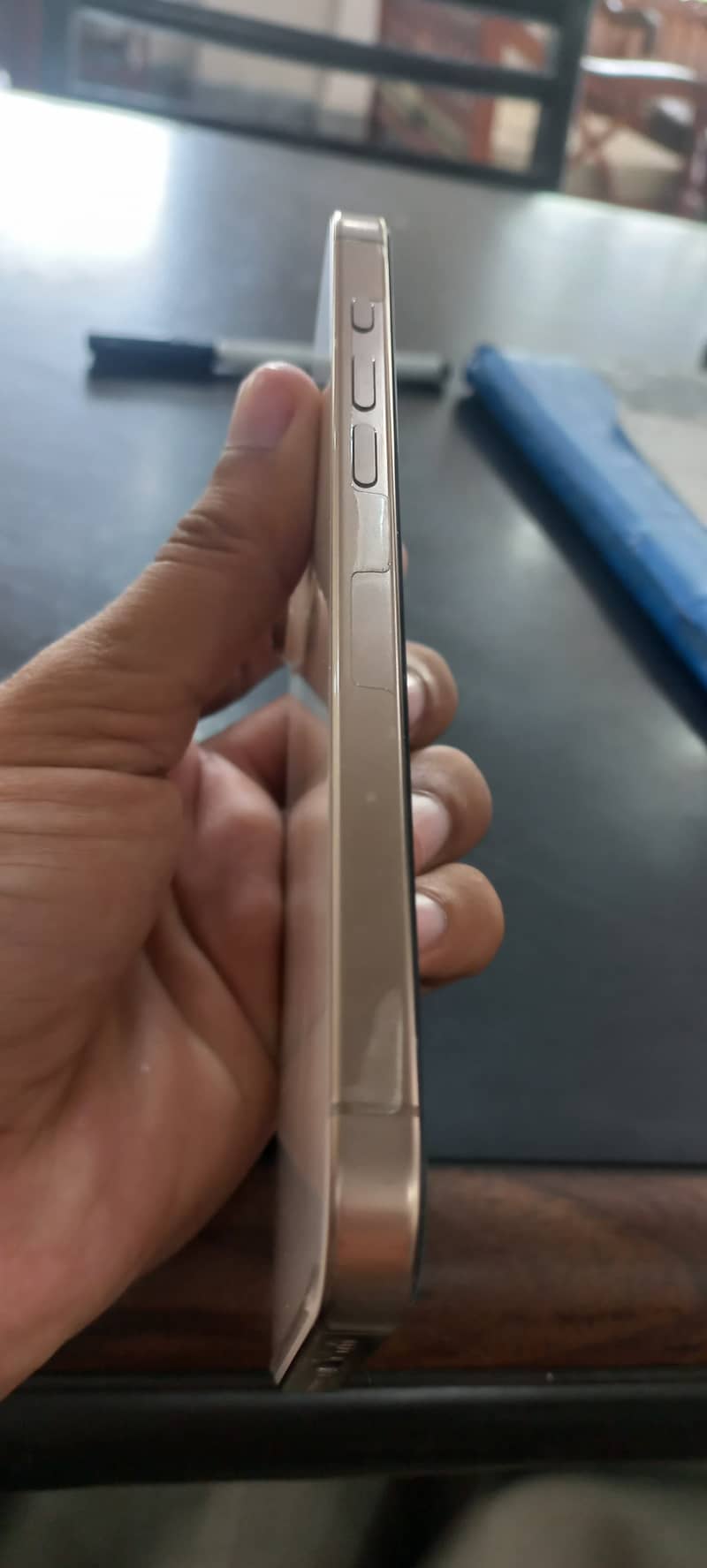 Apple iPhone 16 Pro Max 1