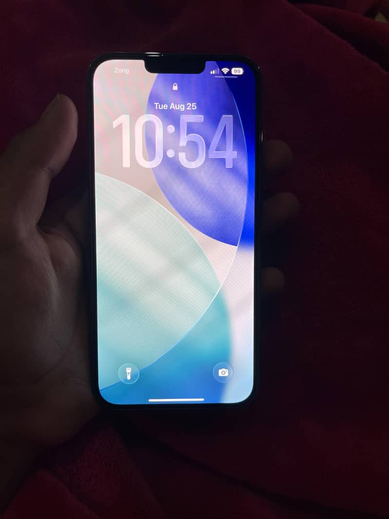 Apple iPhone 13 Pro Max 1