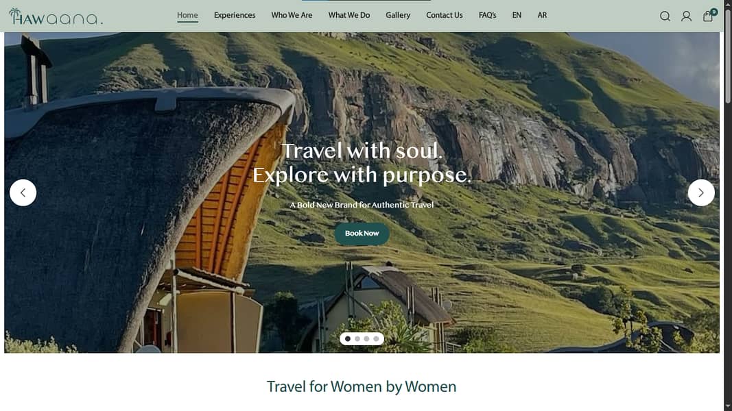 WordPress & Shopify Website Development Services 3