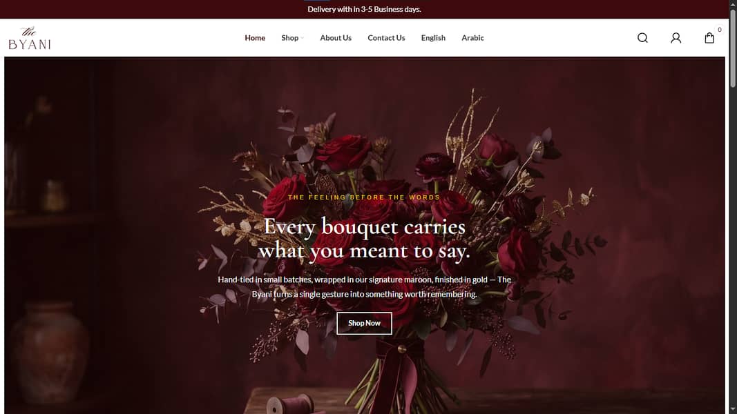 WordPress & Shopify Website Development Services 5