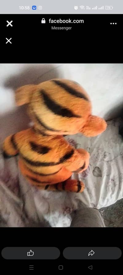 big tiger