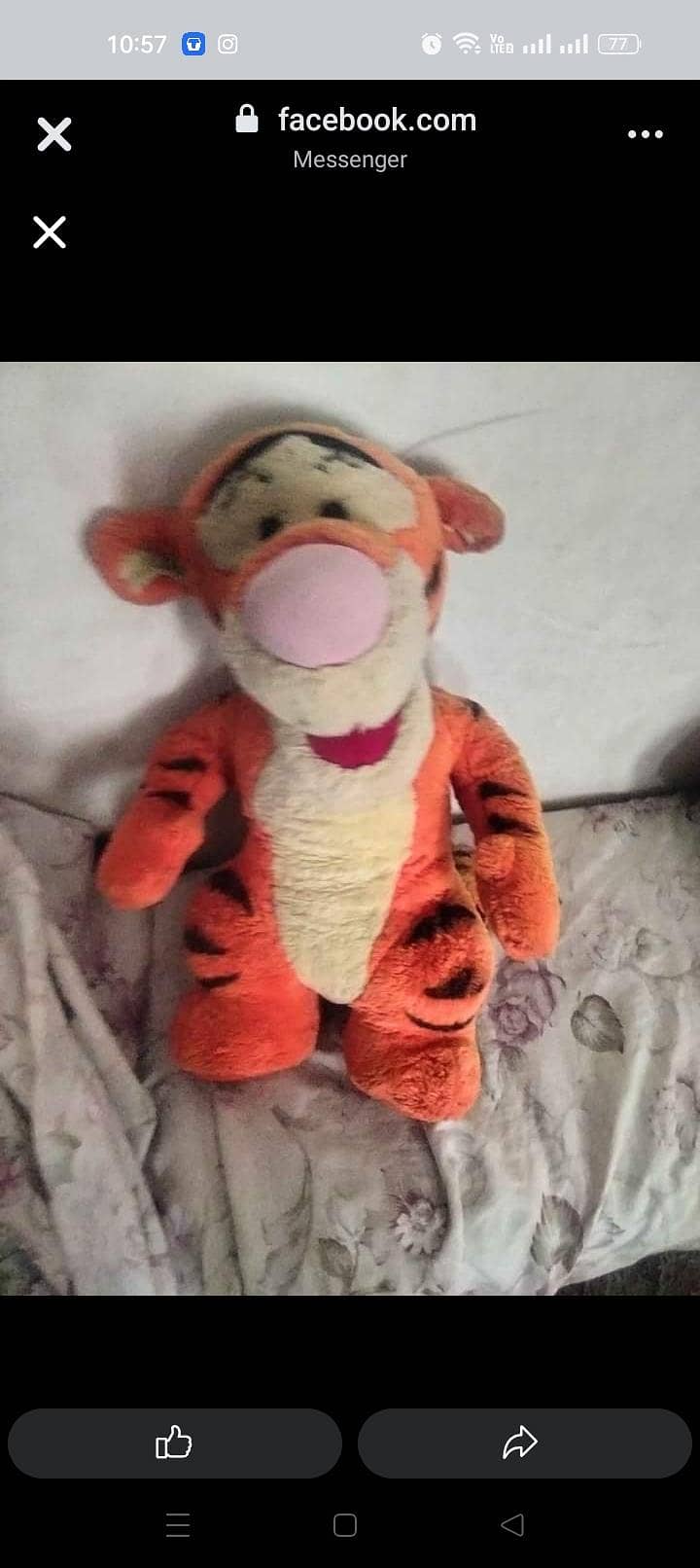 big tiger 2