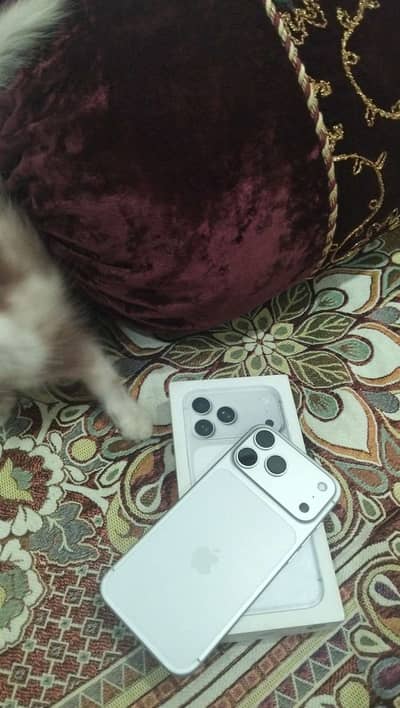 Apple iPhone 17 Pro Max silver color in warranty