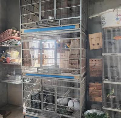 Trolley King size Cage for Gray Amazon Raw big parrot & cats