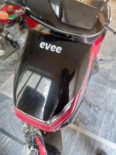 evee sckote