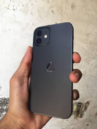 Apple iPhone 12