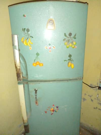 pel medium refrigerator