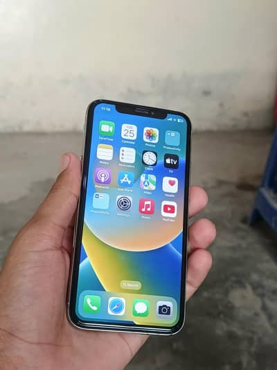 Apple iPhone X