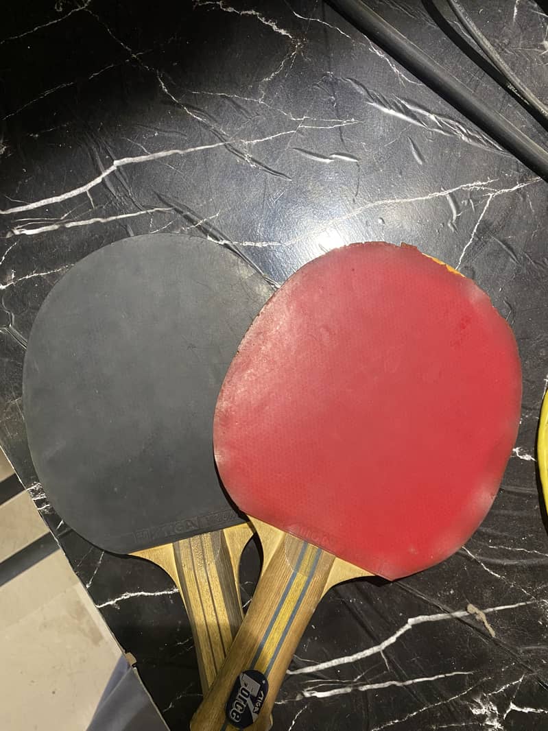 Table tennis table 2