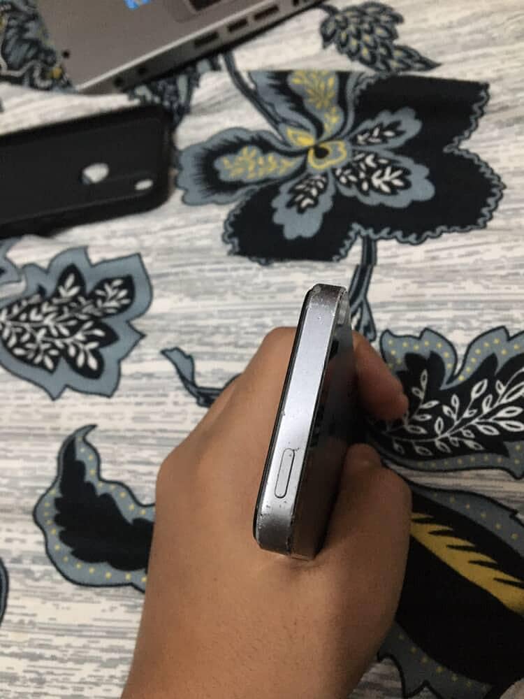 Apple iPhone 5s 2