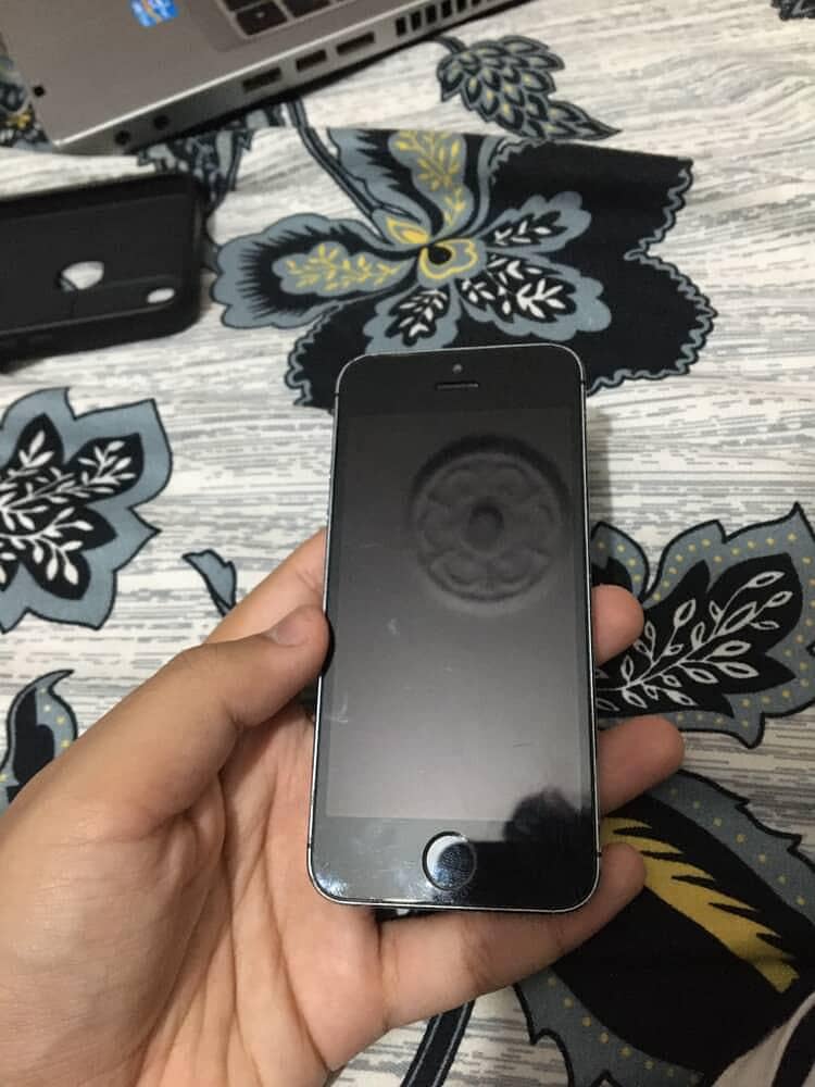 Apple iPhone 5s 6