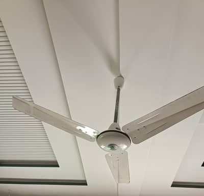 pak fan ceiling fan 2 piece