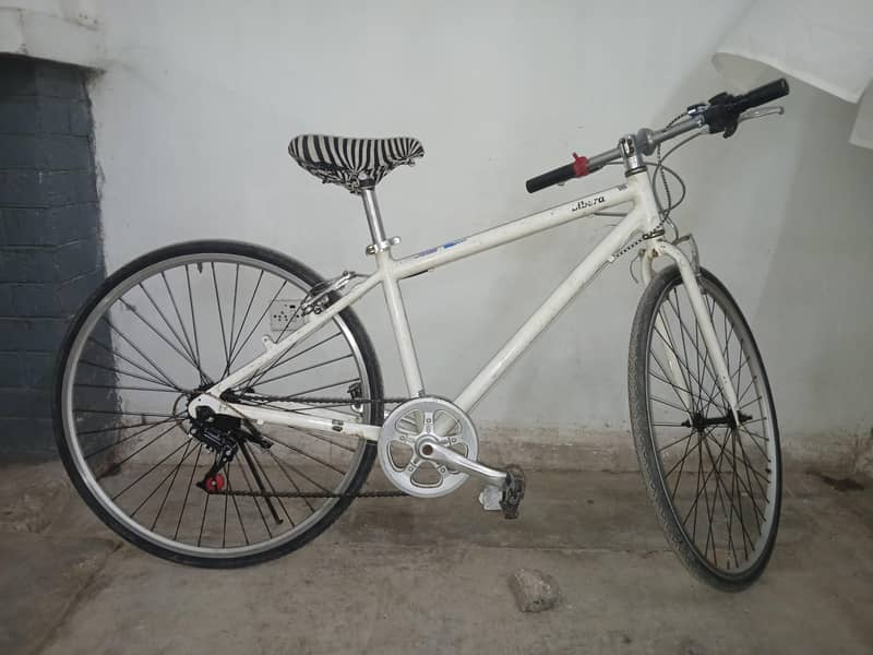 Imported Bicycle 2