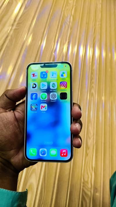 Apple iPhone 13