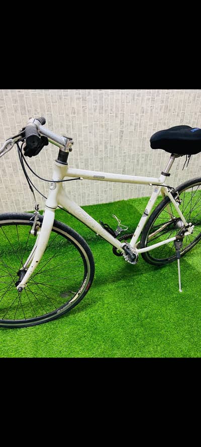 Giant Cycle