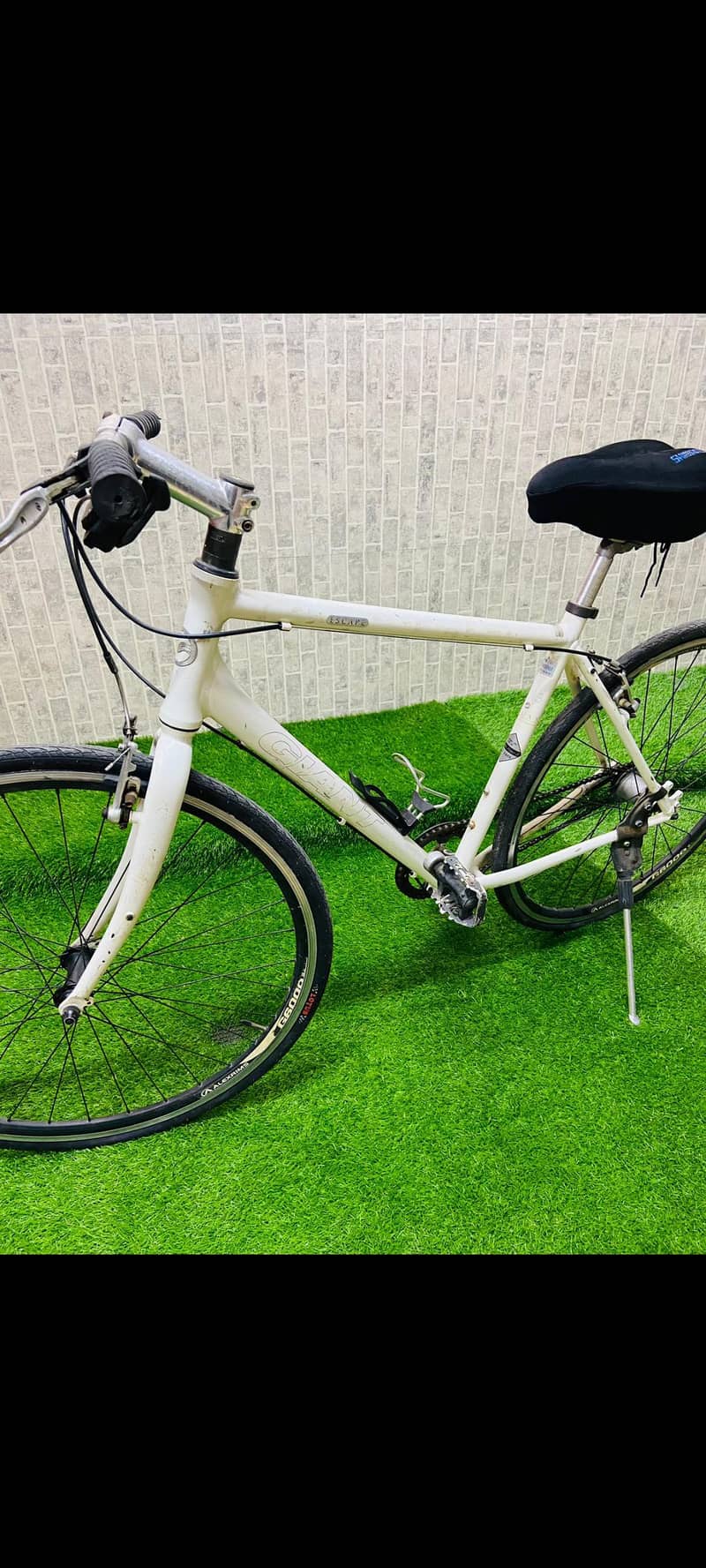 Giant Cycle 0