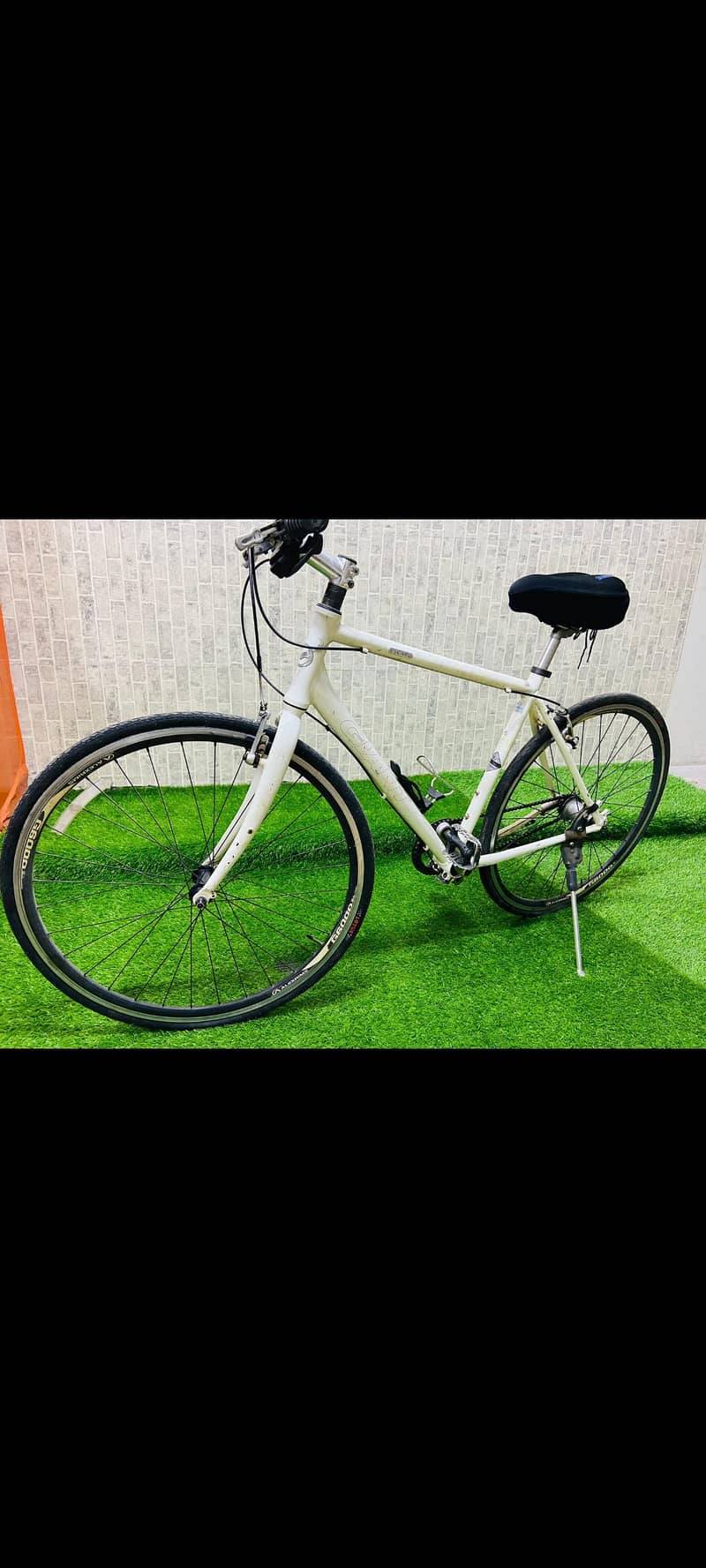 Giant Cycle 1