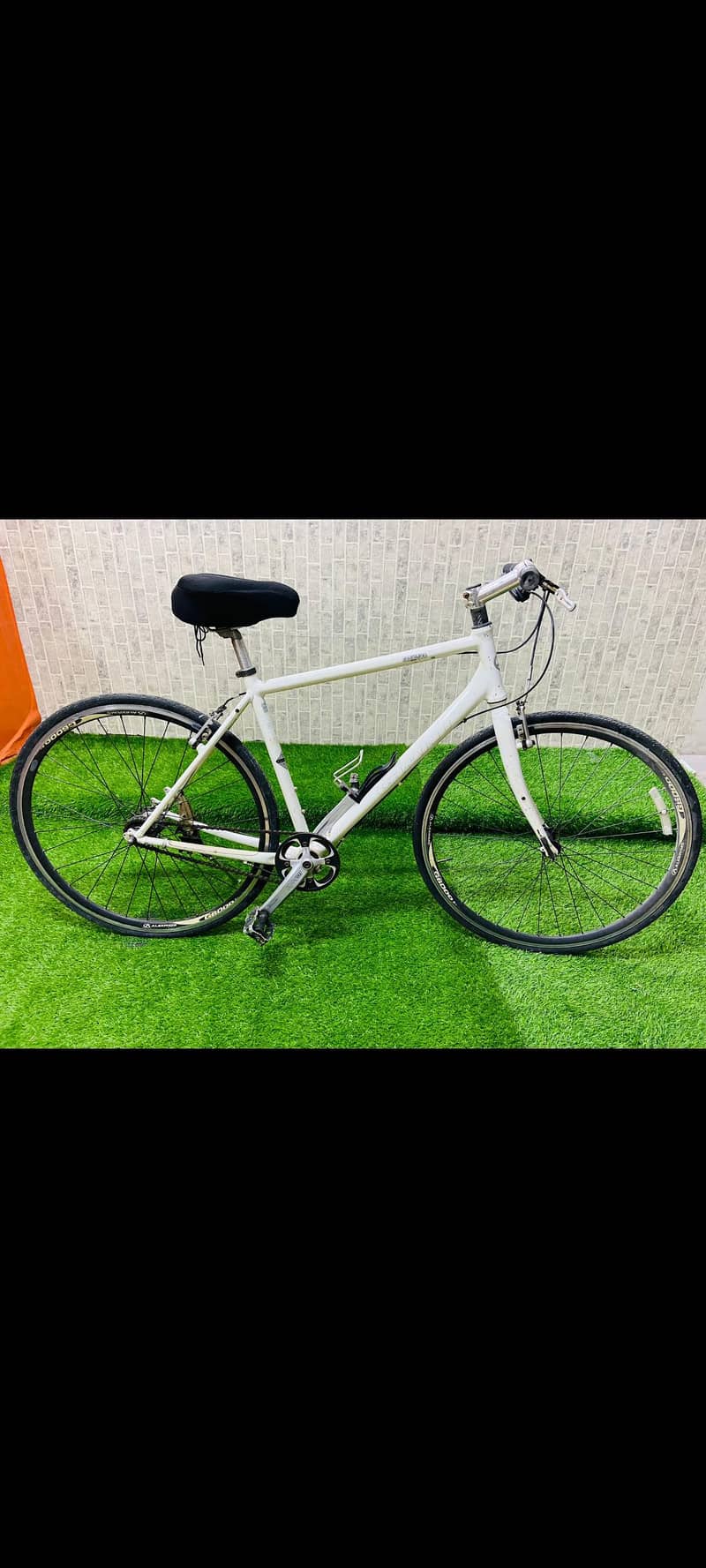 Giant Cycle 2
