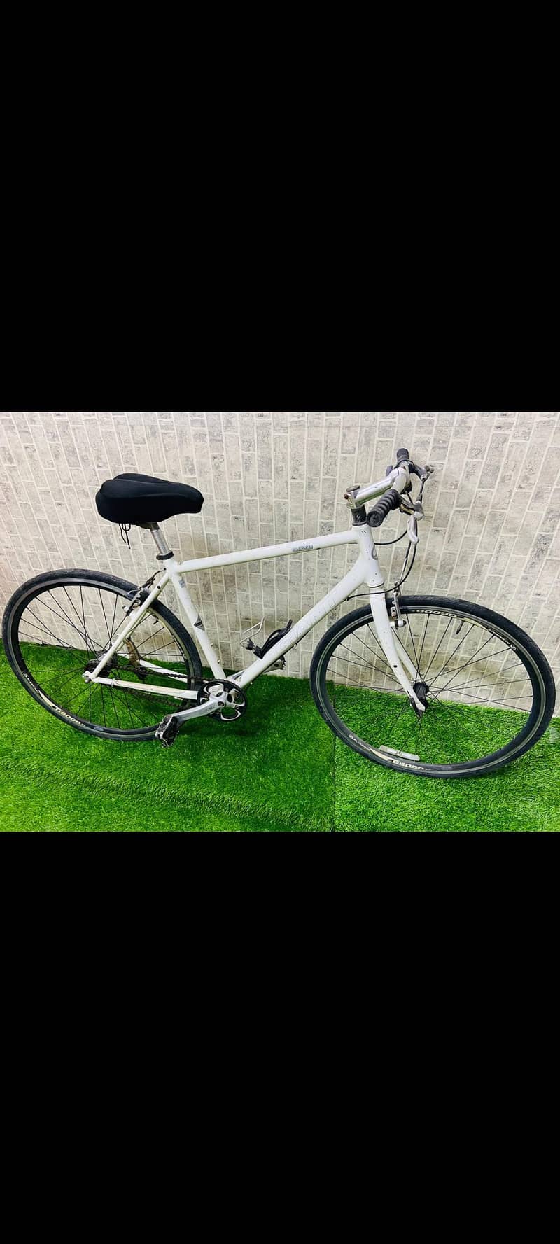 Giant Cycle 3