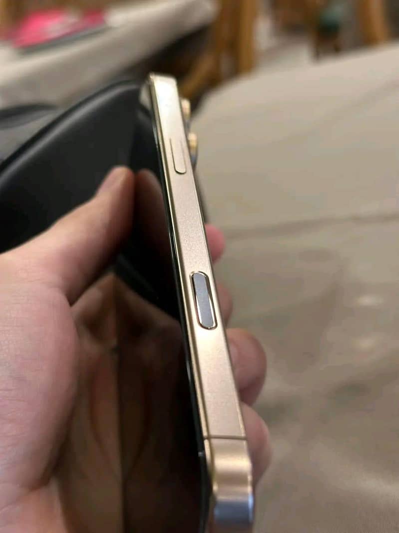 Apple iPhone 16 Pro Max 3