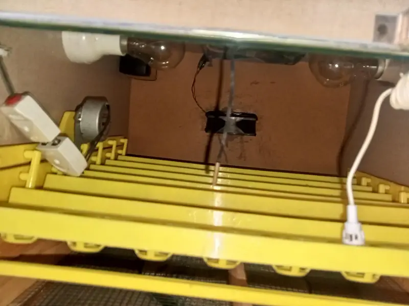 Egg incubator for sale 48egg limit — photo 3