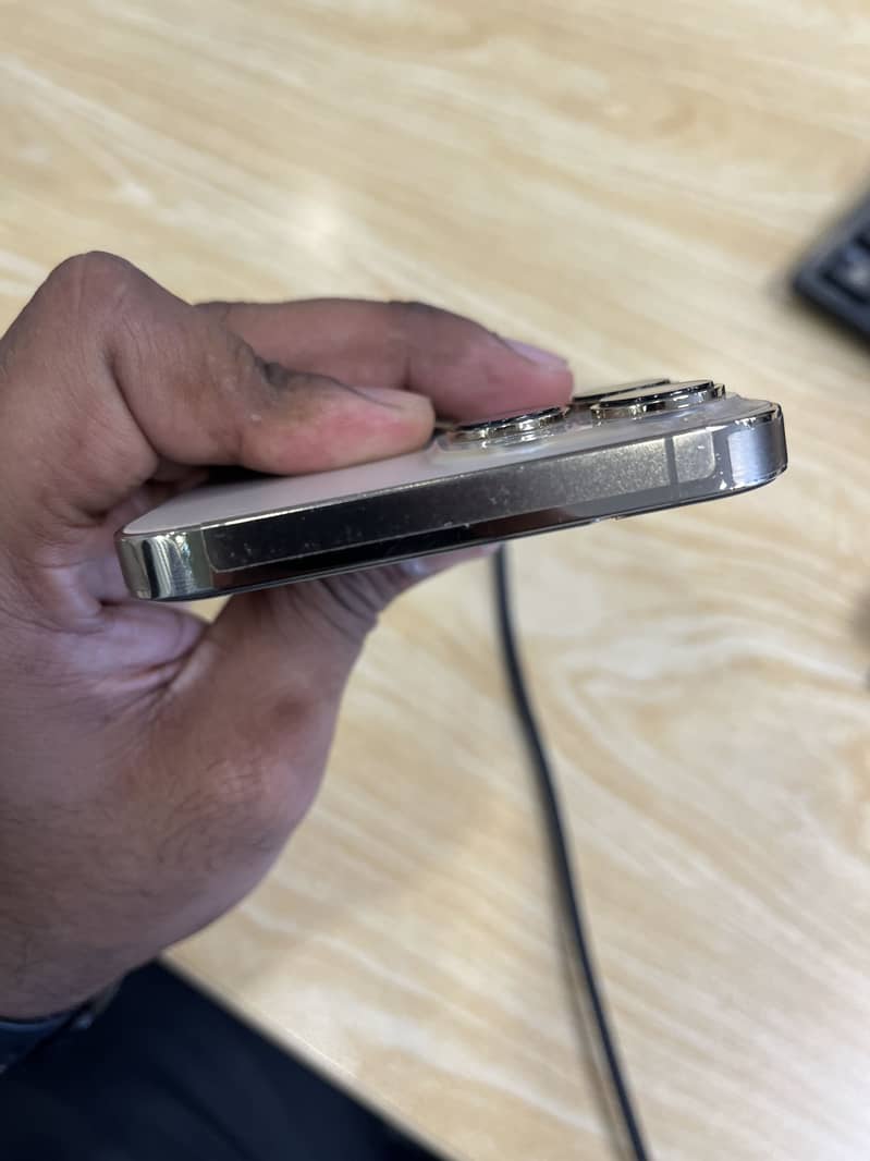 Apple iPhone 13 Pro Max 1