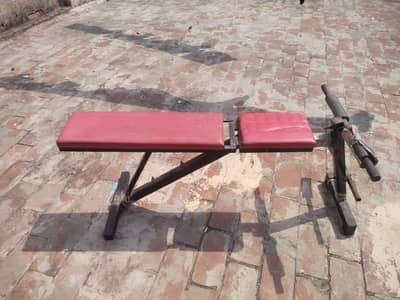 bench press gym bench
