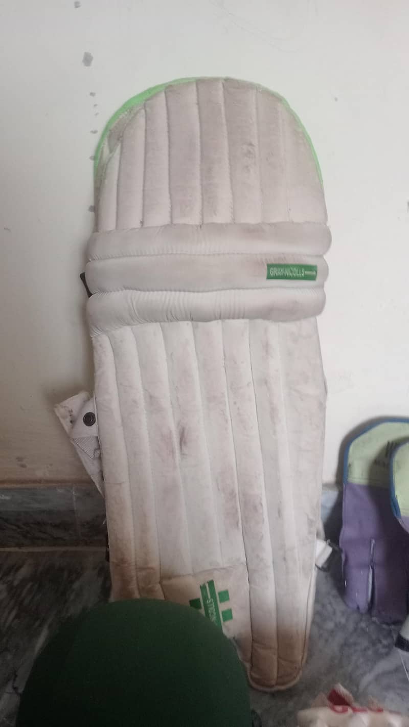 Cricket kit 1