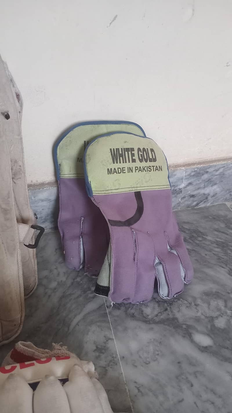 Cricket kit 3