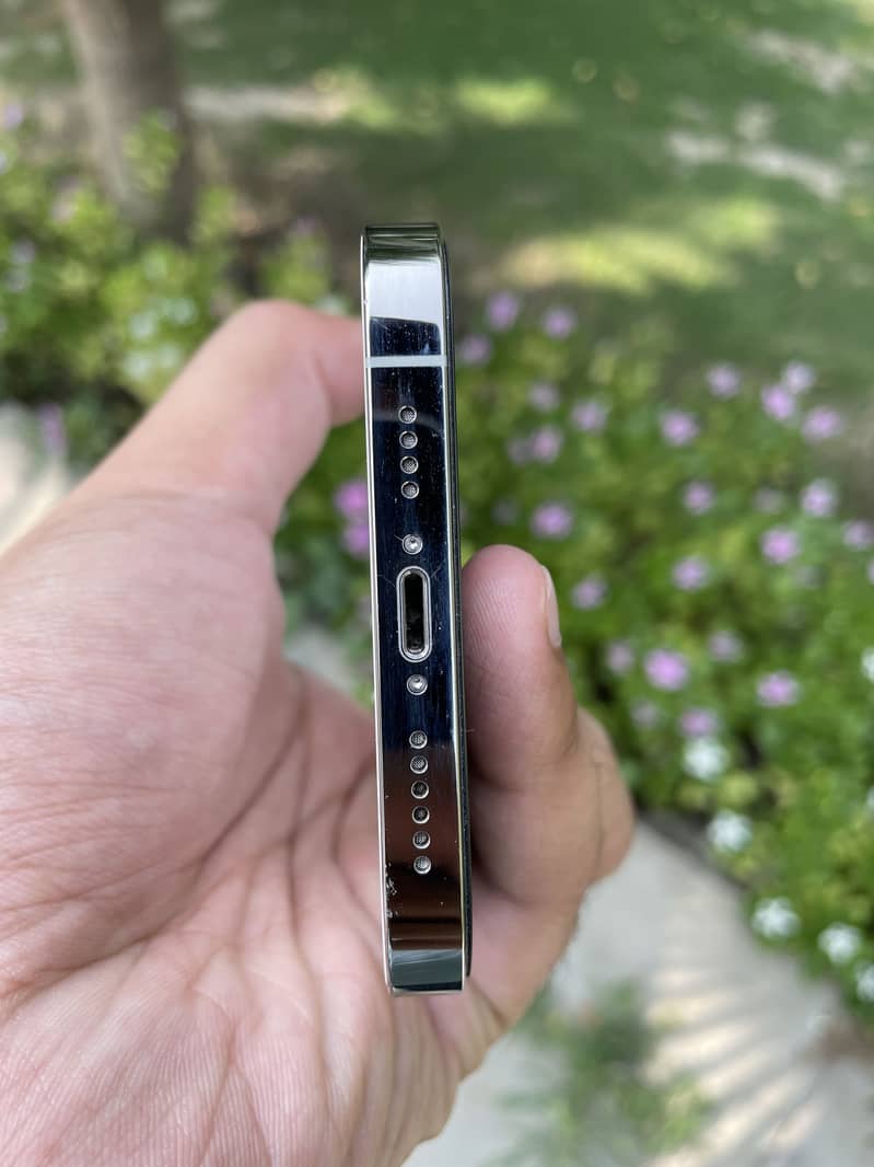 Apple iPhone 13 Pro Max 2