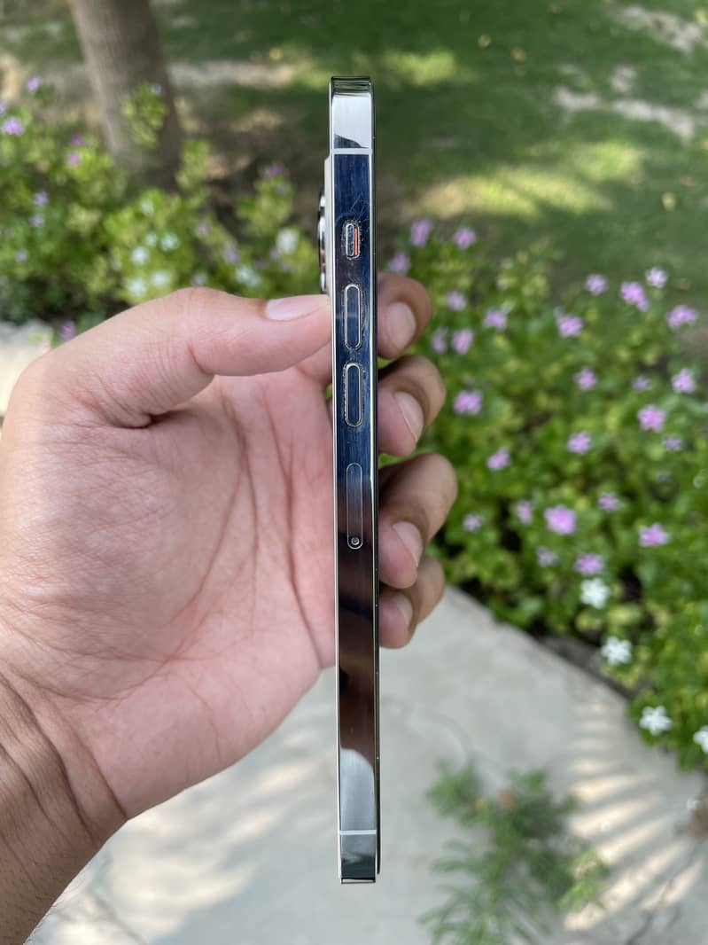 Apple iPhone 13 Pro Max 3