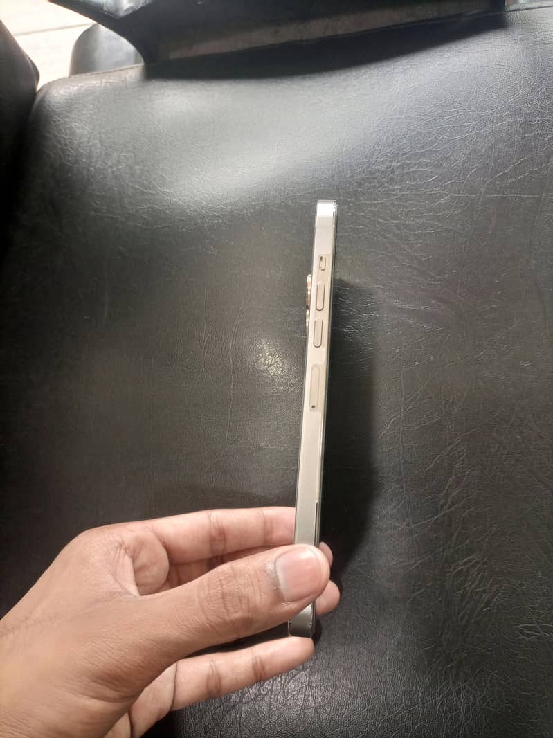 Apple iPhone 13 Pro Max 2