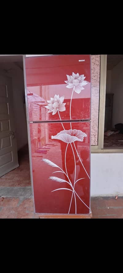 orient fridge medium size