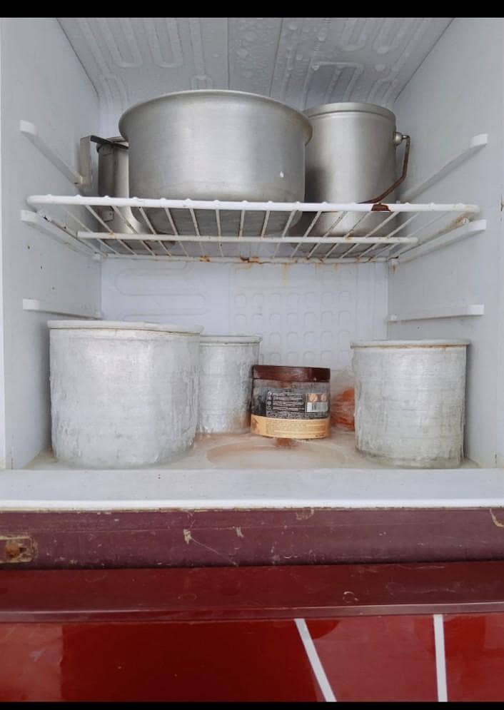 orient fridge medium size 1
