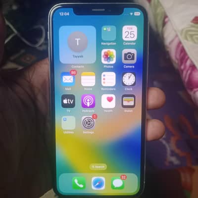 Apple iPhone X