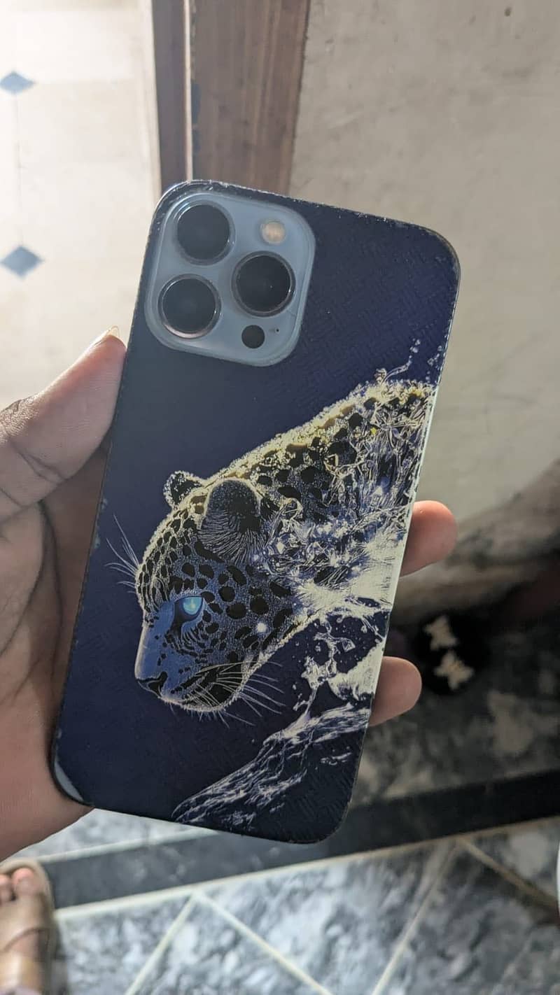 Apple iPhone 13 Pro Max 1