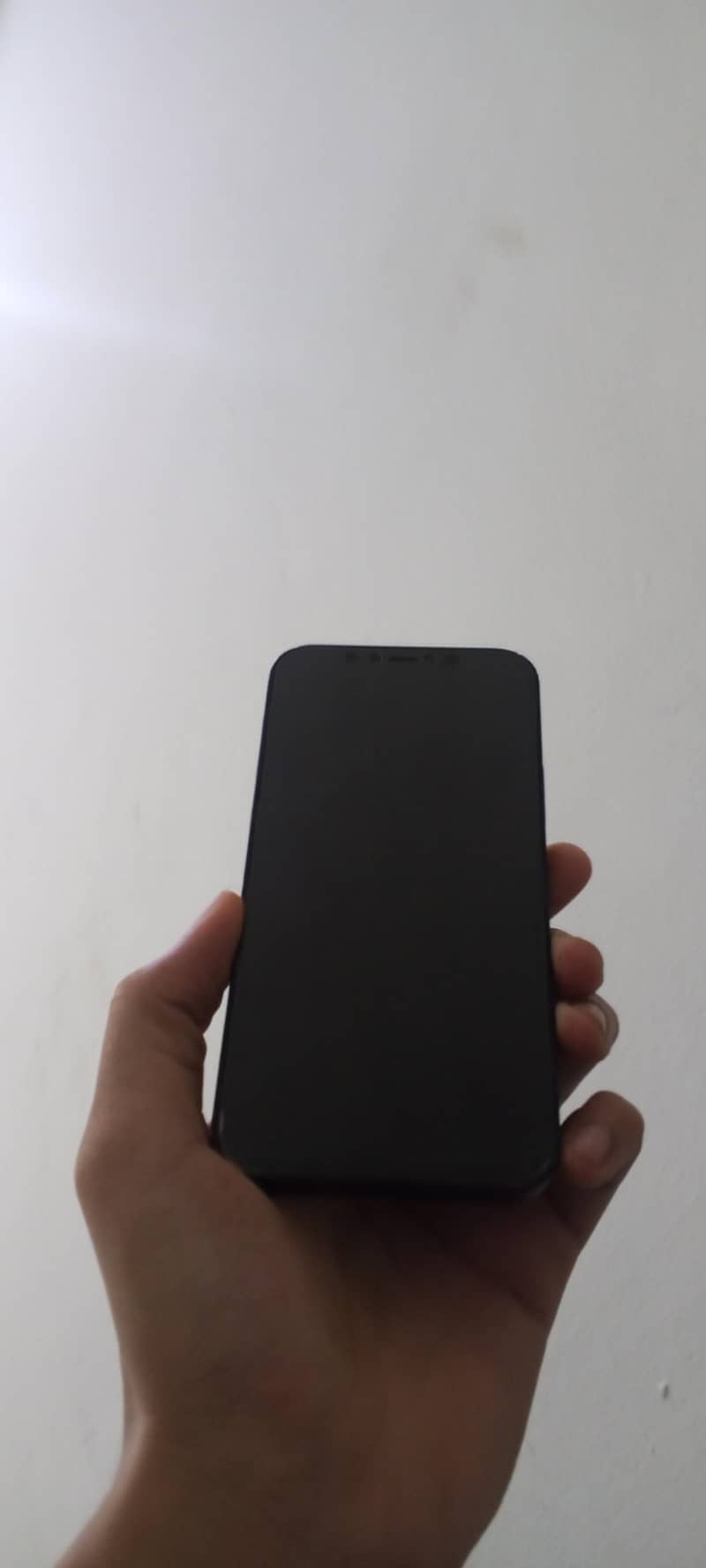 Apple iPhone 12 1