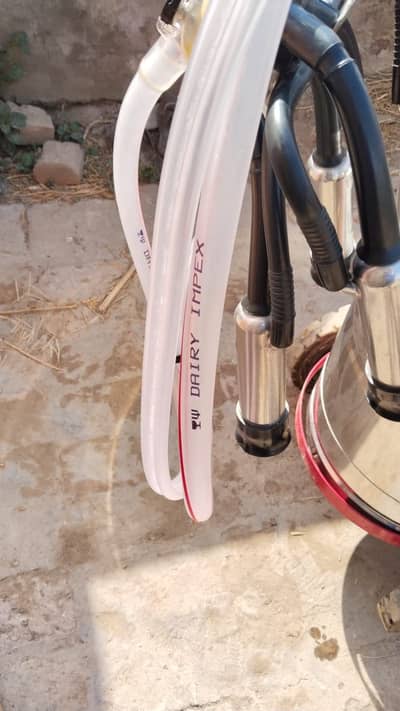 Dairy implements milking machine
