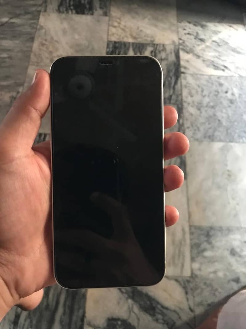 Apple iPhone 12 1