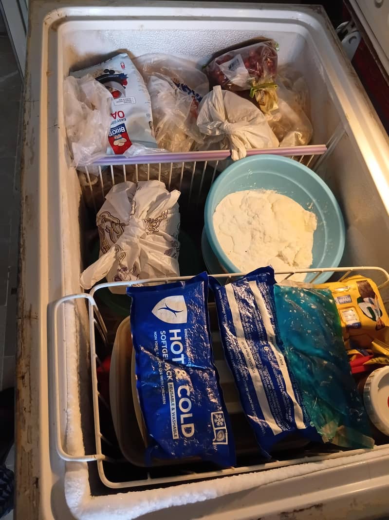 Deep Freezer 1