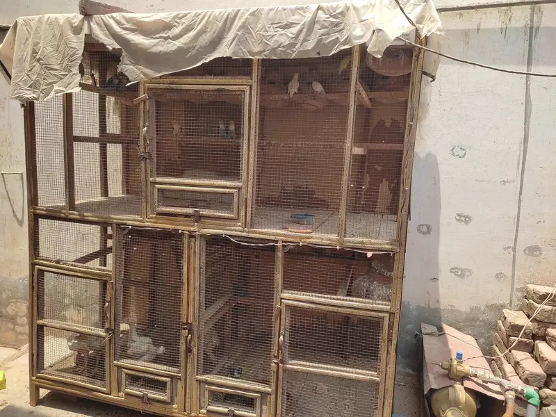 kiker wood colony cage — photo 2