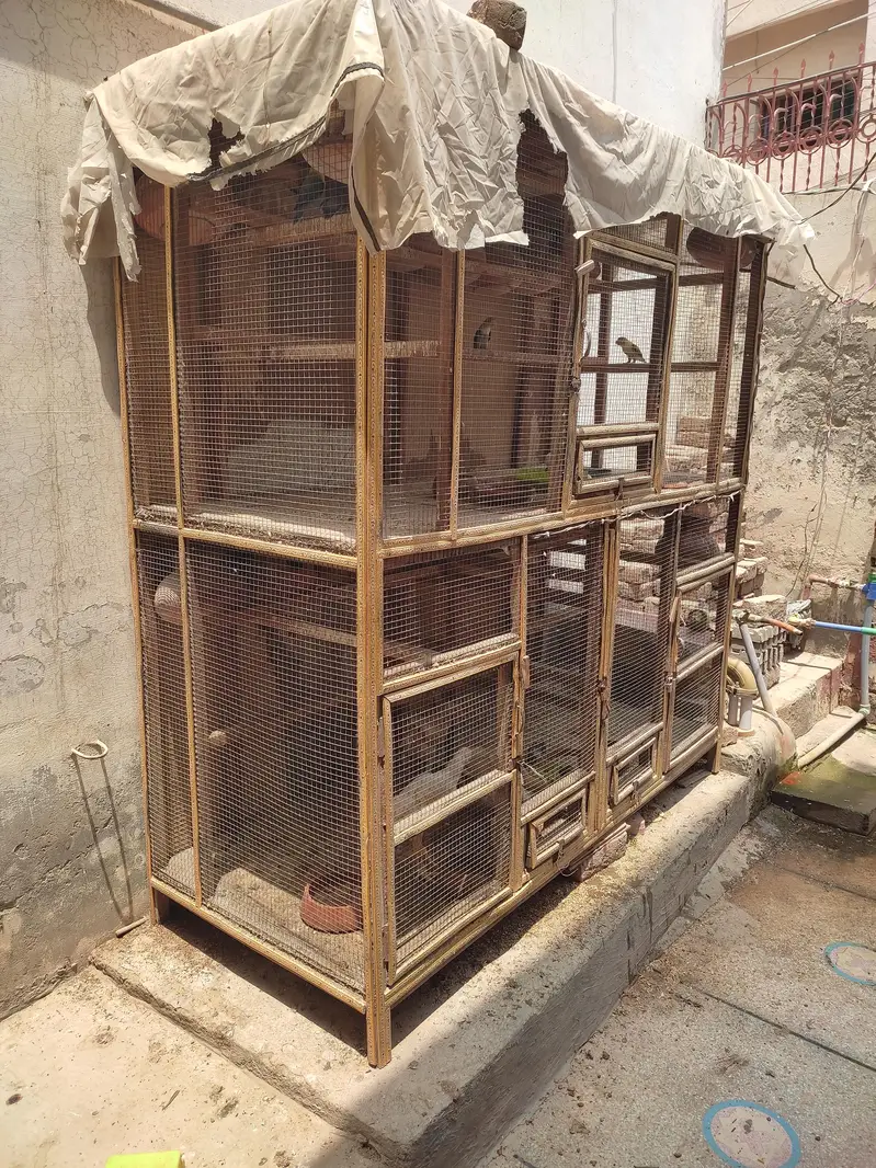 kiker wood colony cage — photo 3