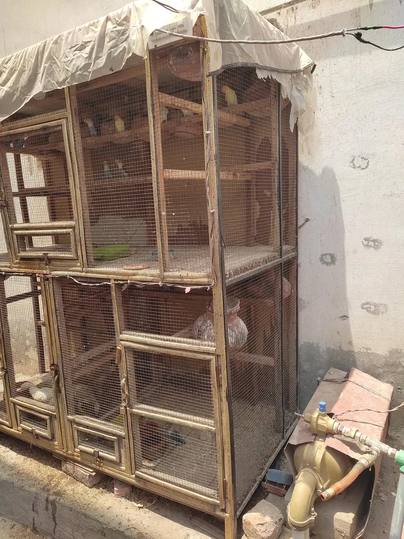 kiker wood colony cage — photo 4