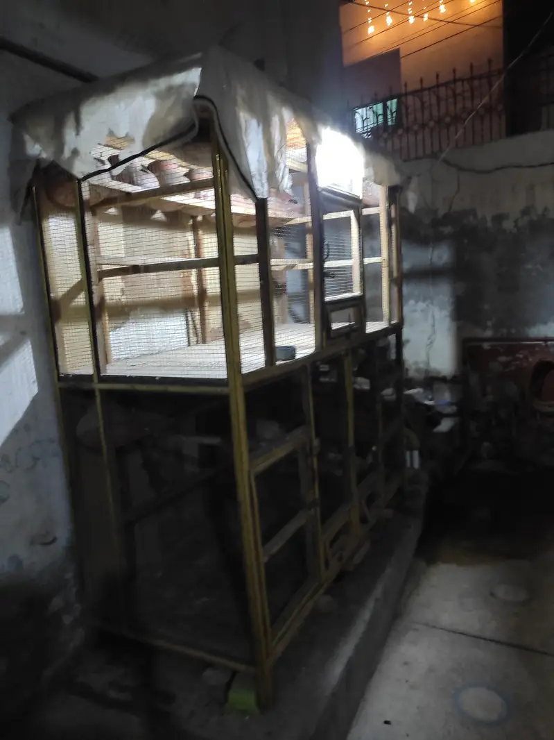 kiker wood colony cage — photo 5